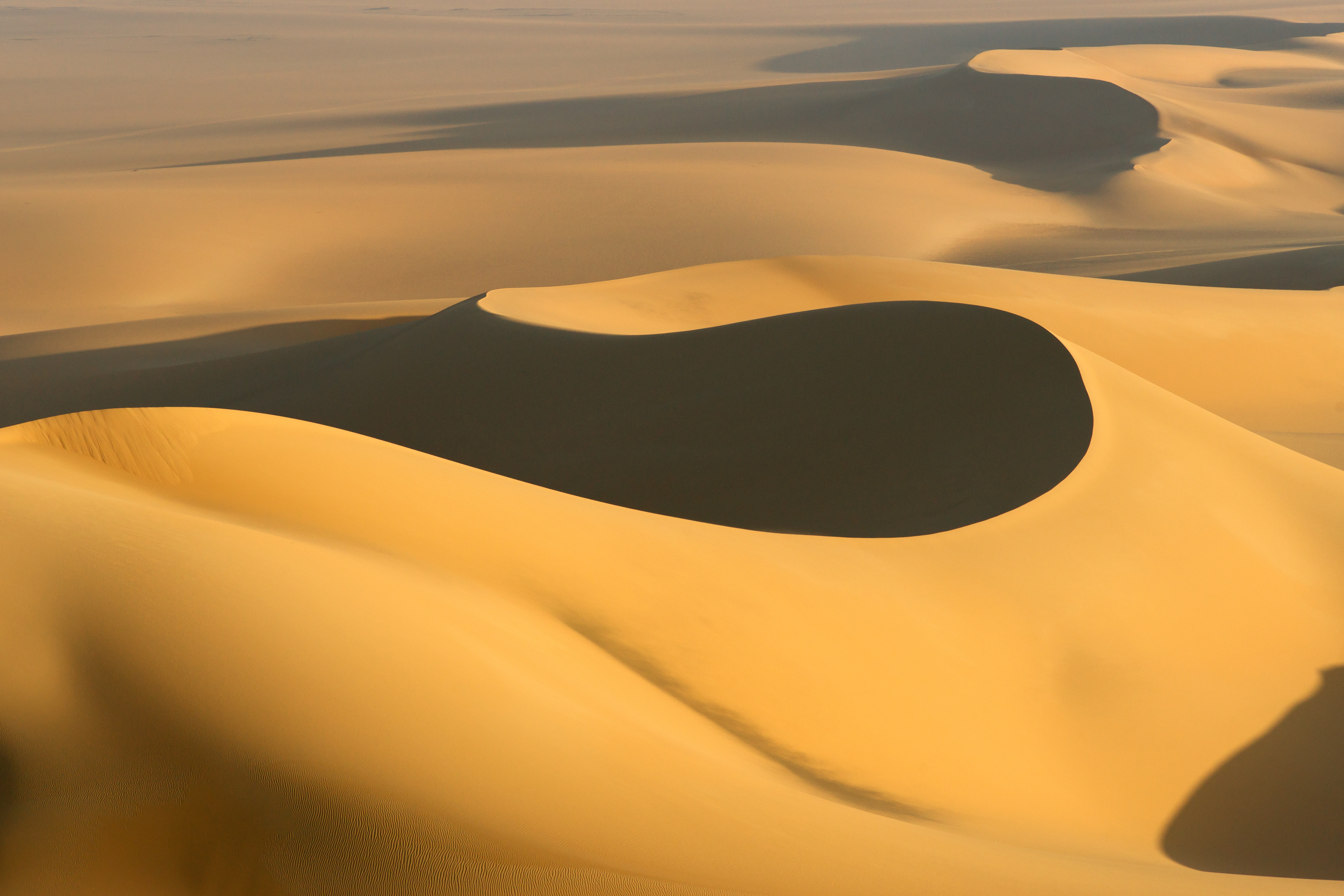 Gyldne sandklitter i Sahara ørkenen med dramatiske skygger og varmt sollys