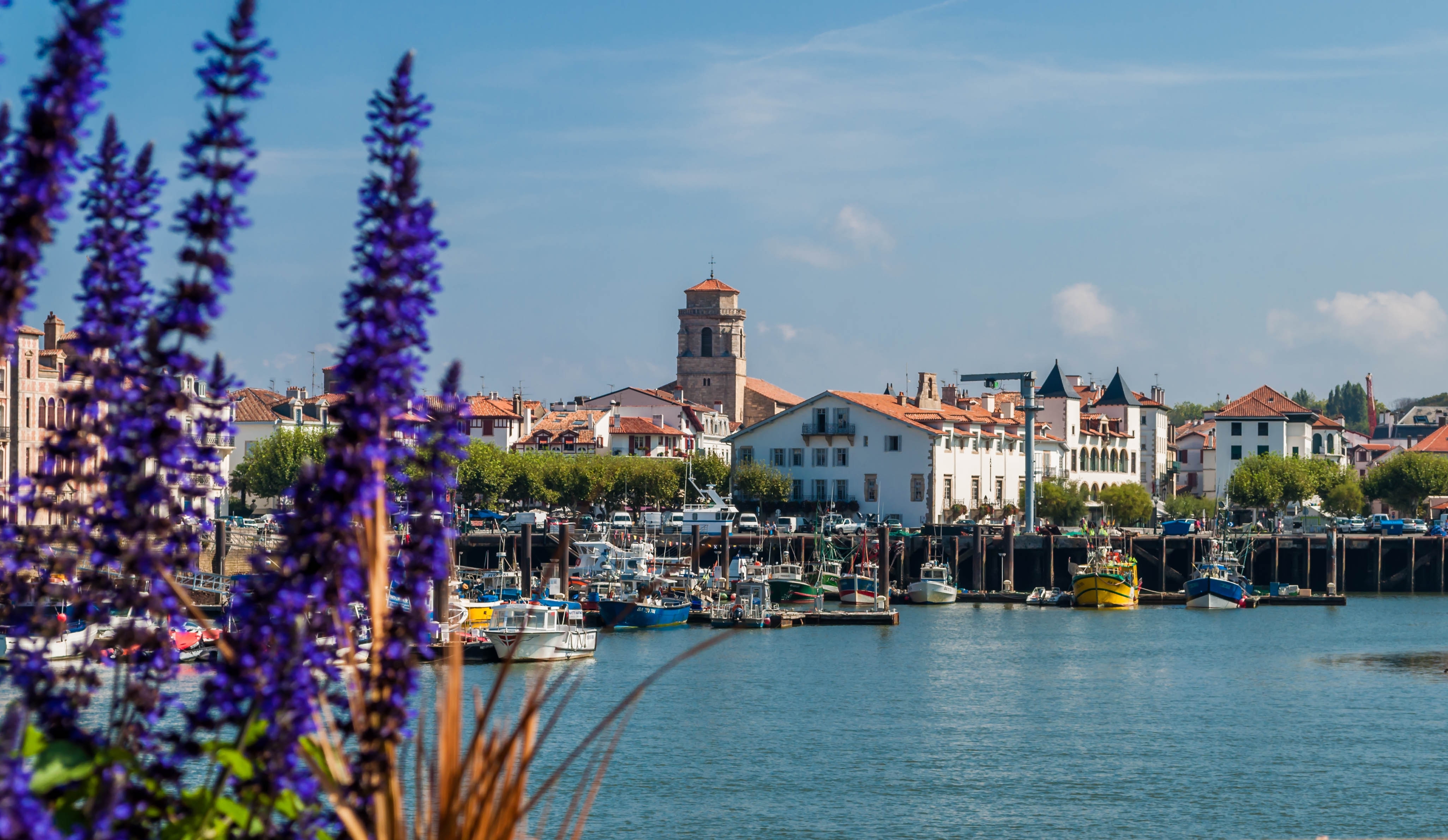 Pittoresk fiskehavn i Saint-Jean-de-Luz med farverige både og traditionel baskisk arkitektur i Sydvestfrankrig