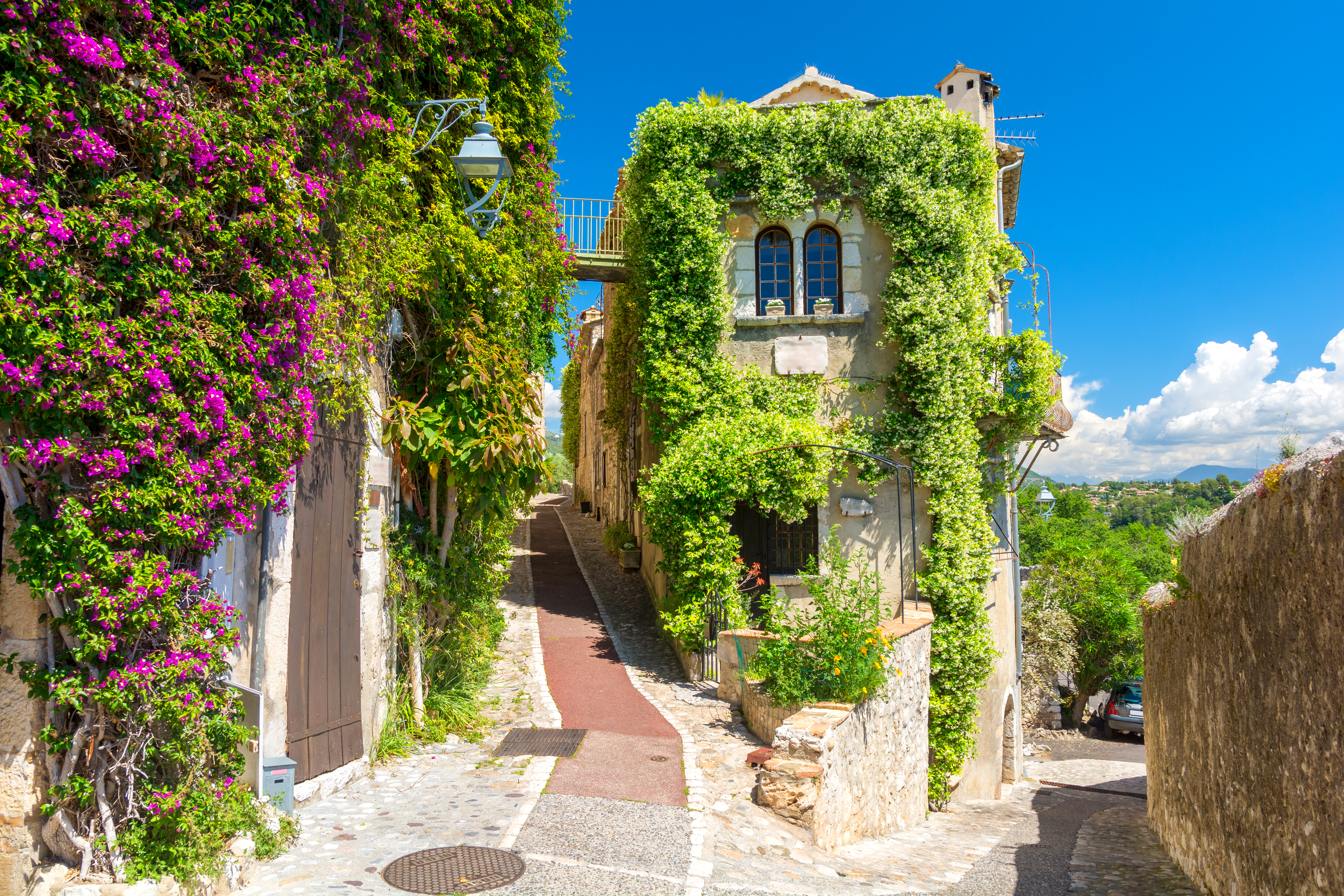 Charmerende smal stengade i den middelalderlige landsby Saint Paul de Vence i Provence, Sydfrankrig, med traditionel arkitektur, rustikke stenbygninger og blomstrende planter, der pryder den maleriske passage