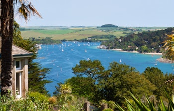 Idyllisk udsigt over Salcombe bugt i Devon med sejlbåde i det blå vand, palmer i forgrunden og det charmerende engelske kystlandskab