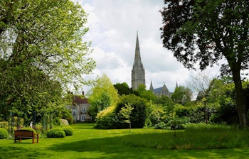 Historiske Salisbury Katedral med højt spir omgivet af frodige sommerhaver og grønne træer i Wiltshire, England