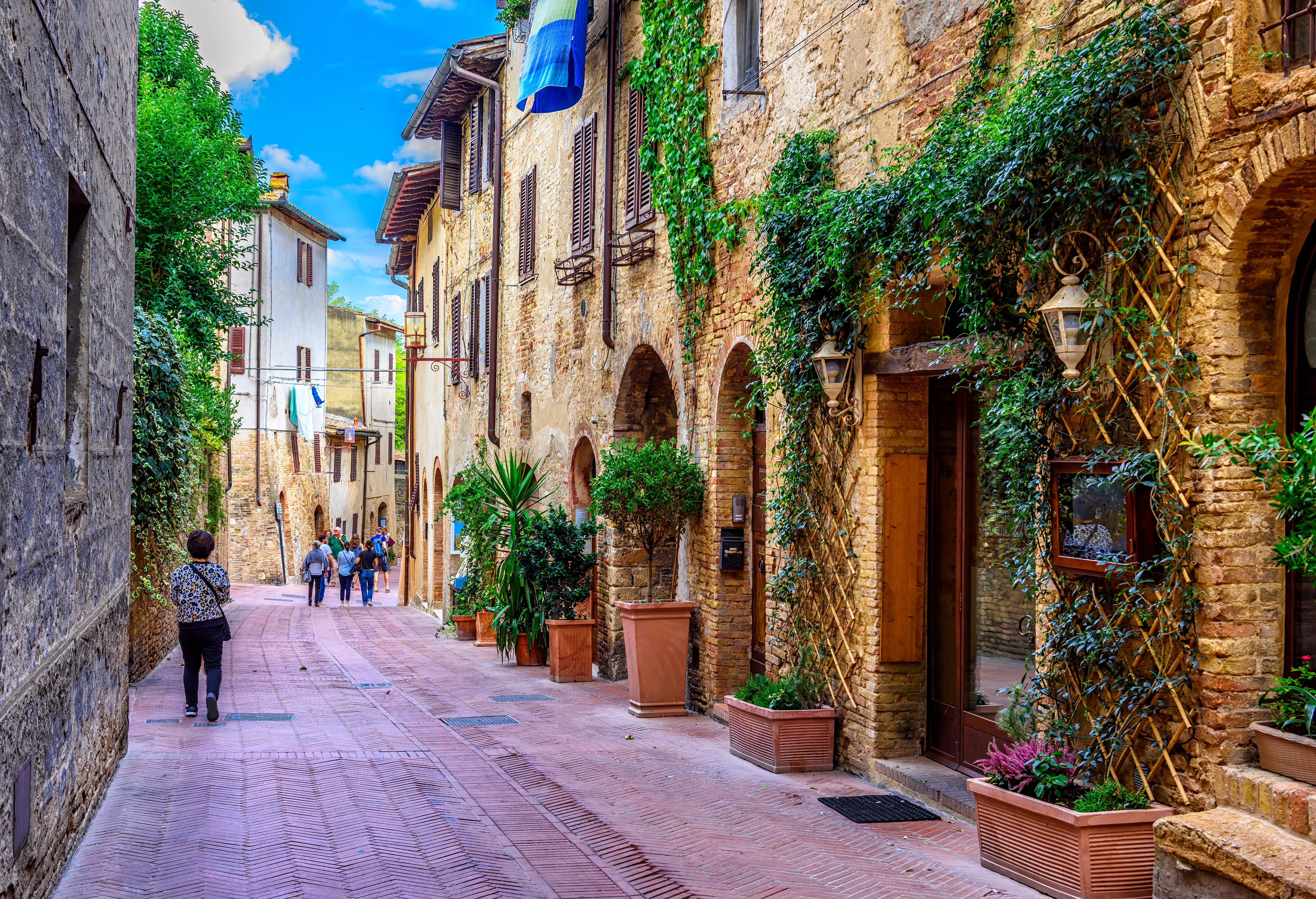 Charmerende middelalderlig gade i San Gimignano Toscana med stenbygninger og grønne planter
