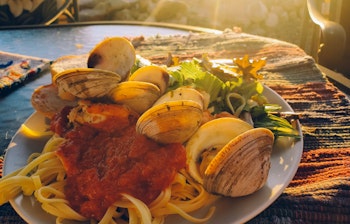 Lækker skaldyrspasta med muslinger serveret ved søen i Gloucester, Massachusetts - frisk italiensk madoplevelse med smuk udsigt