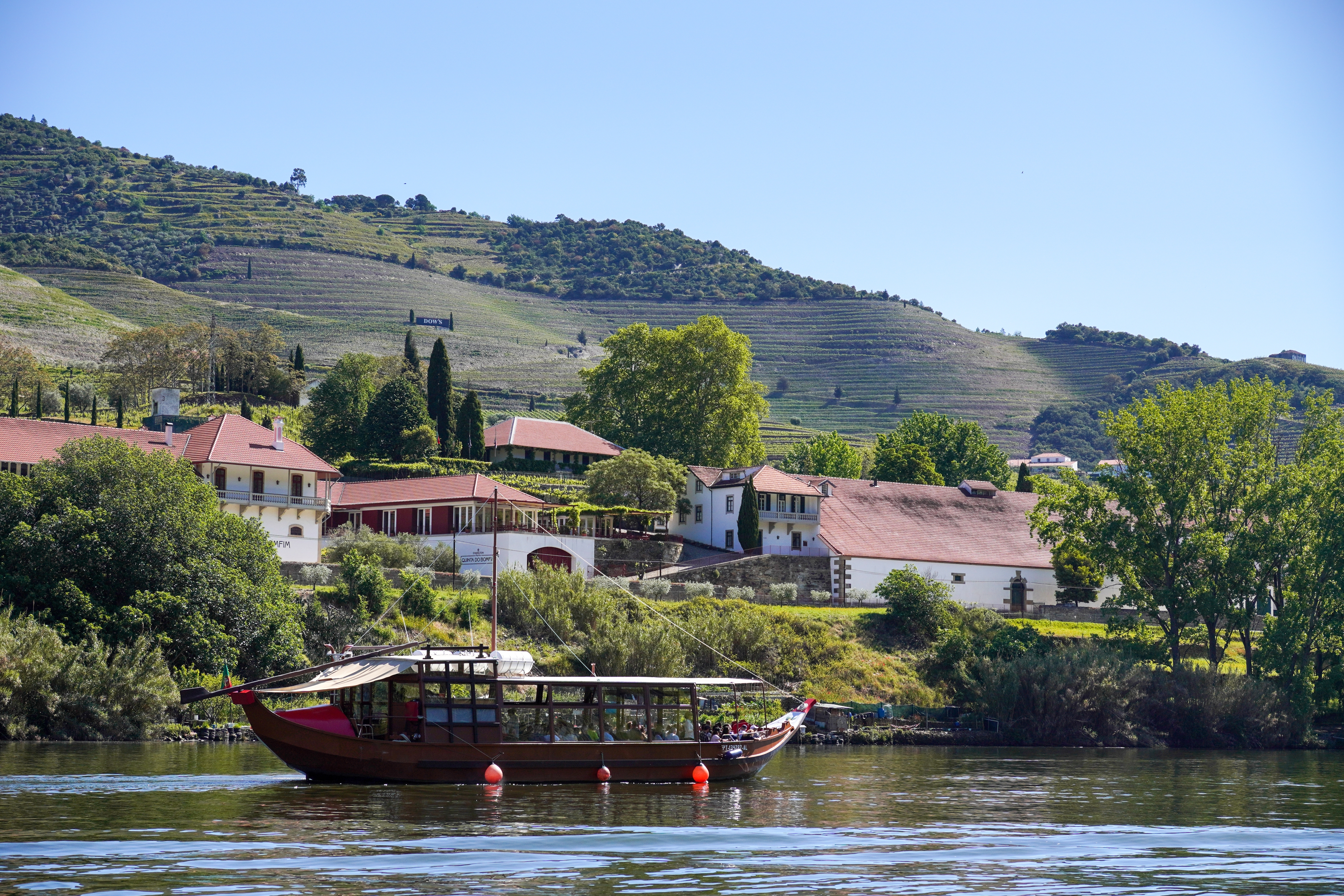 Traditionel rabelo-båd sejler forbi terrasserede vinmarker og historiske quintas på Douro-floden i Portugal