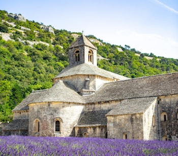 Historisk Sénanque kloster omgivet af lilla lavendelmarker i Provence Frankrig