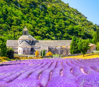 Det historiske Senanque kloster omgivet af blomstrende lilla lavendelmarker i Gordes, Provence - en malerisk sommerdestination i Frankrig