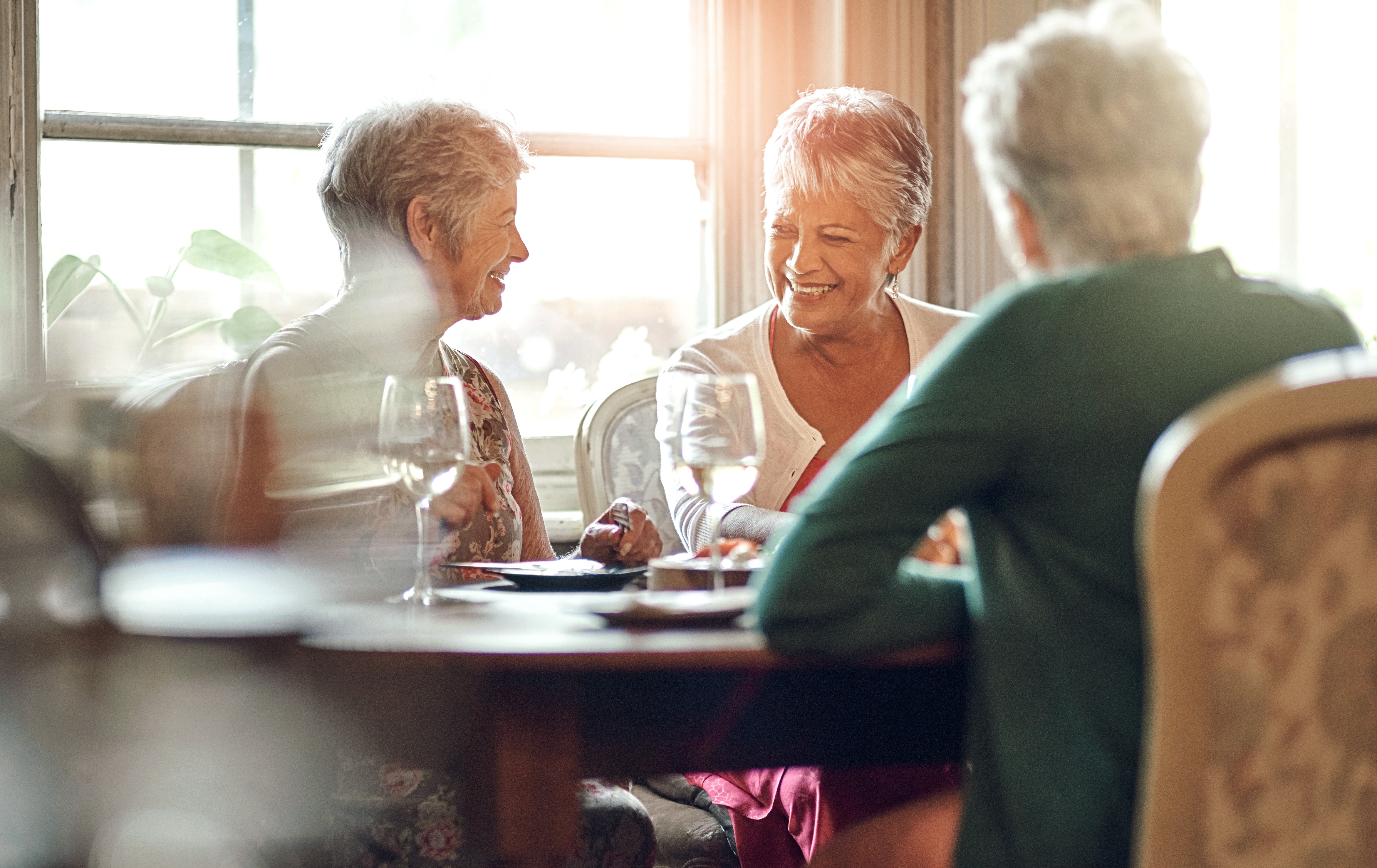 Seniorer nyder vin og middag sammen under deres ferie