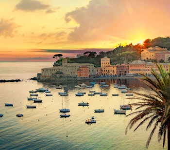 Kystby Sestri Levante i Italien ved solnedgang med både og palmetræ.