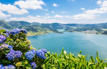 Idyllisk udsigt over den blå Sete Cidades sø med hvide hortensiaer i forgrunden, São Miguel, Azorerne