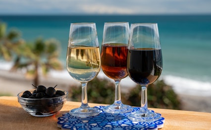 Spansk sherry vinsmagning med grønne oliven og udsigt over havet ved El Puerto de Santa Maria i Andalusien