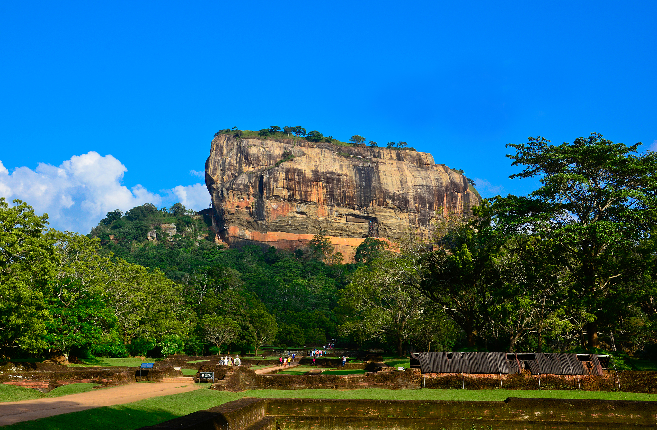 Sigiriya klippefæstning omgivet af grøn jungle under blå himmel i Sri Lanka