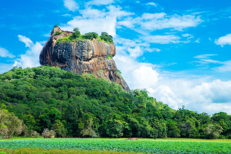 Sigiriya Lion Rock bjergfæstning i Sri Lanka omgivet af frodig grøn skov under en blå himmel, UNESCO verdensarv