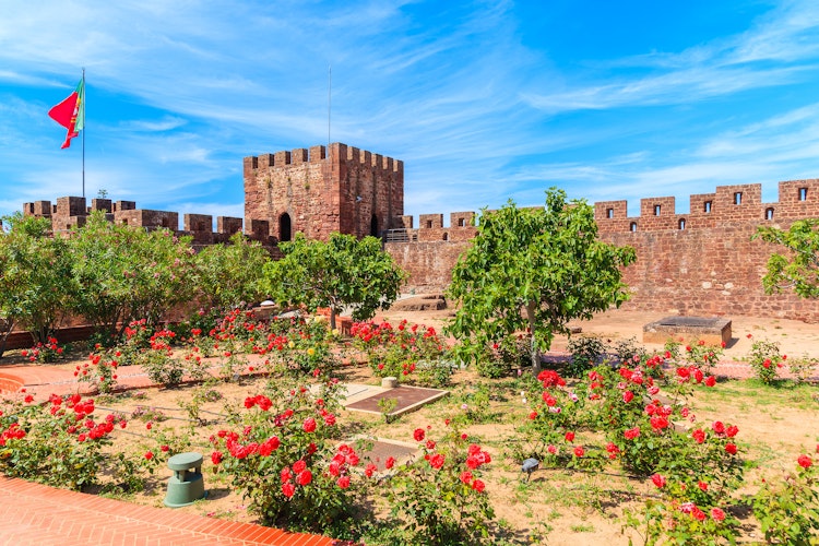 Blomstrende røde roser i haverne ved det historiske Silves slot, en velbevarede middelalderborg i Algarve-regionen, Portugal