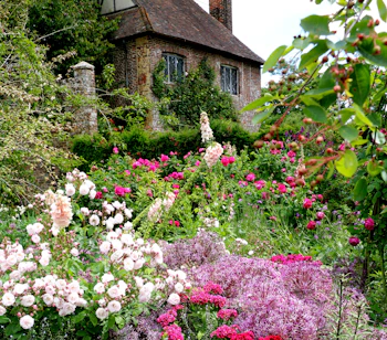 Farverige sommerblomster i den historiske Sissinghurst slotshave i England med smukke roser og stauder i den traditionelle engelske cottage garden stil