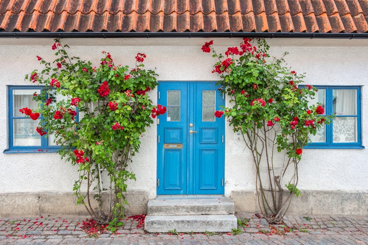 Charmerende skandinavisk hus med blå dør og blomstrende roser på brostensgade