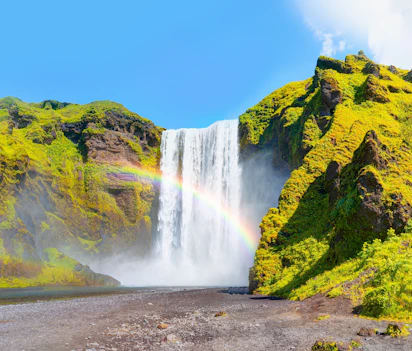 Skogafoss vandfald med regnbue på Island i grønt landskab