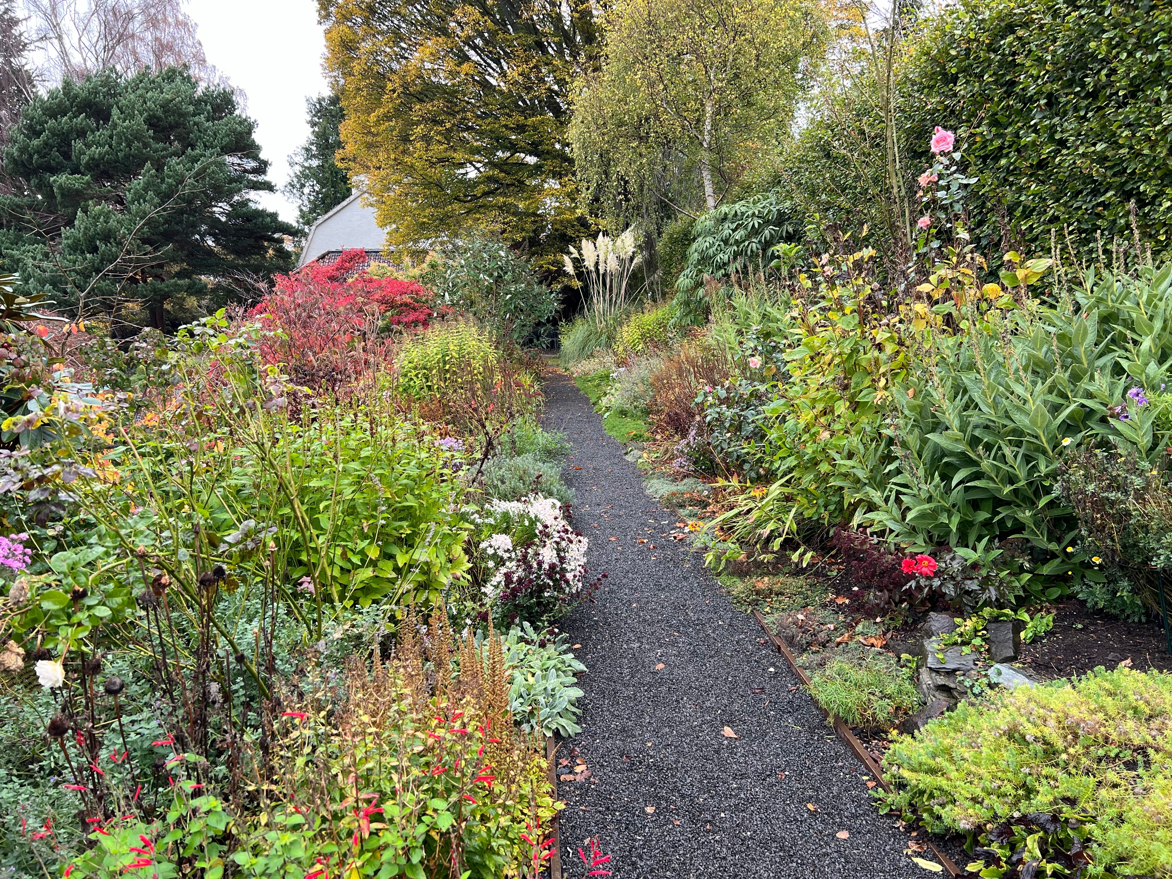 Smuk efterårshave med farverig sti og planter i Perth, Skotland
