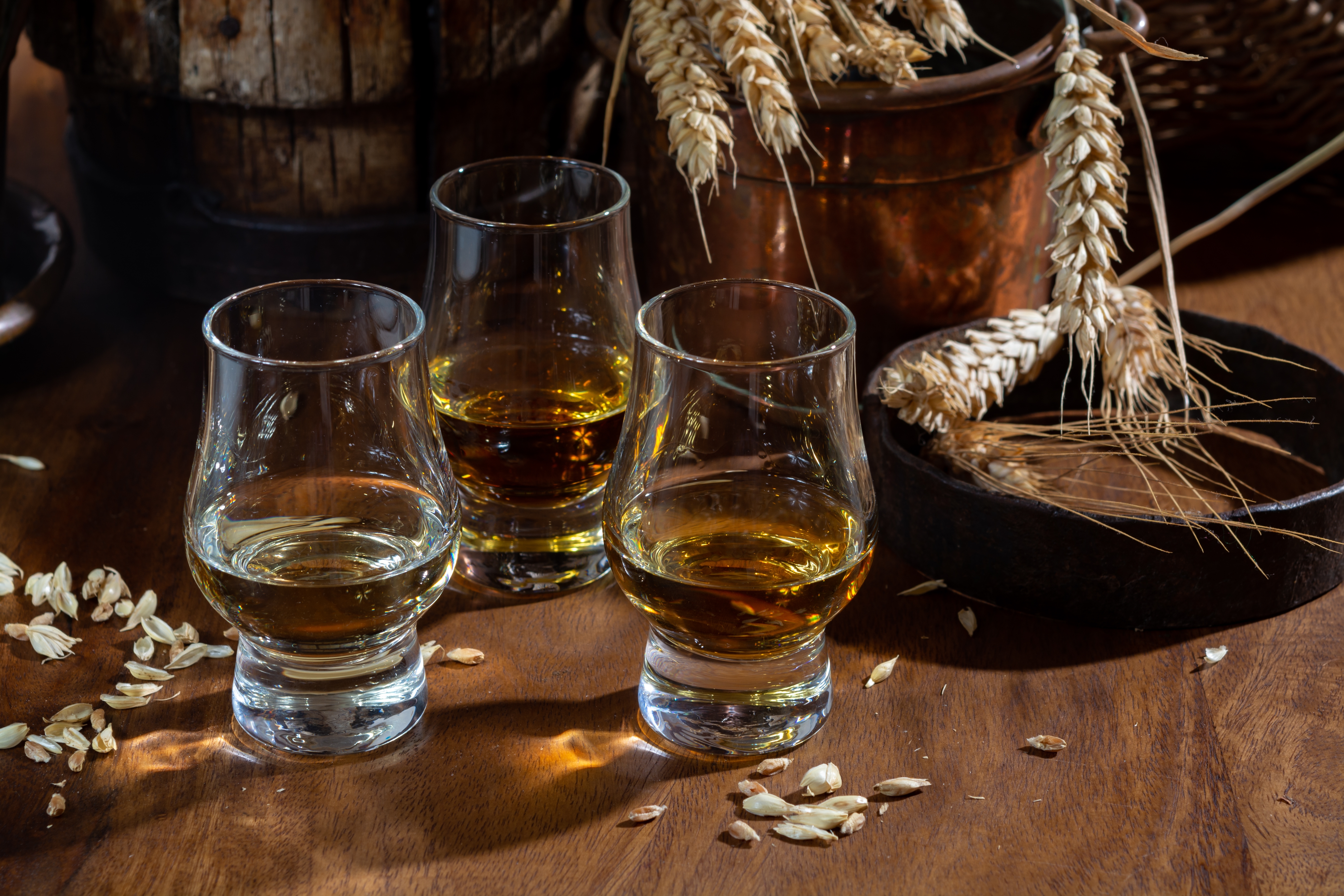 Skotsk whisky smagning med gyldne single malt glas og bygkorn fra Skotland