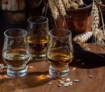 Skotsk whisky smagning med gyldne single malt glas og bygkorn fra Skotland