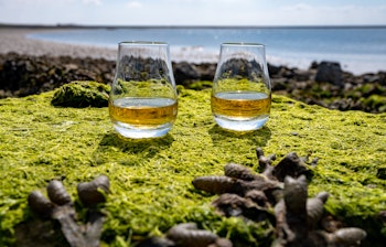 Skotsk whisky smagning ved lavvande med grønne alger, oplev eksklusive destilleri ture i de skotske højlande