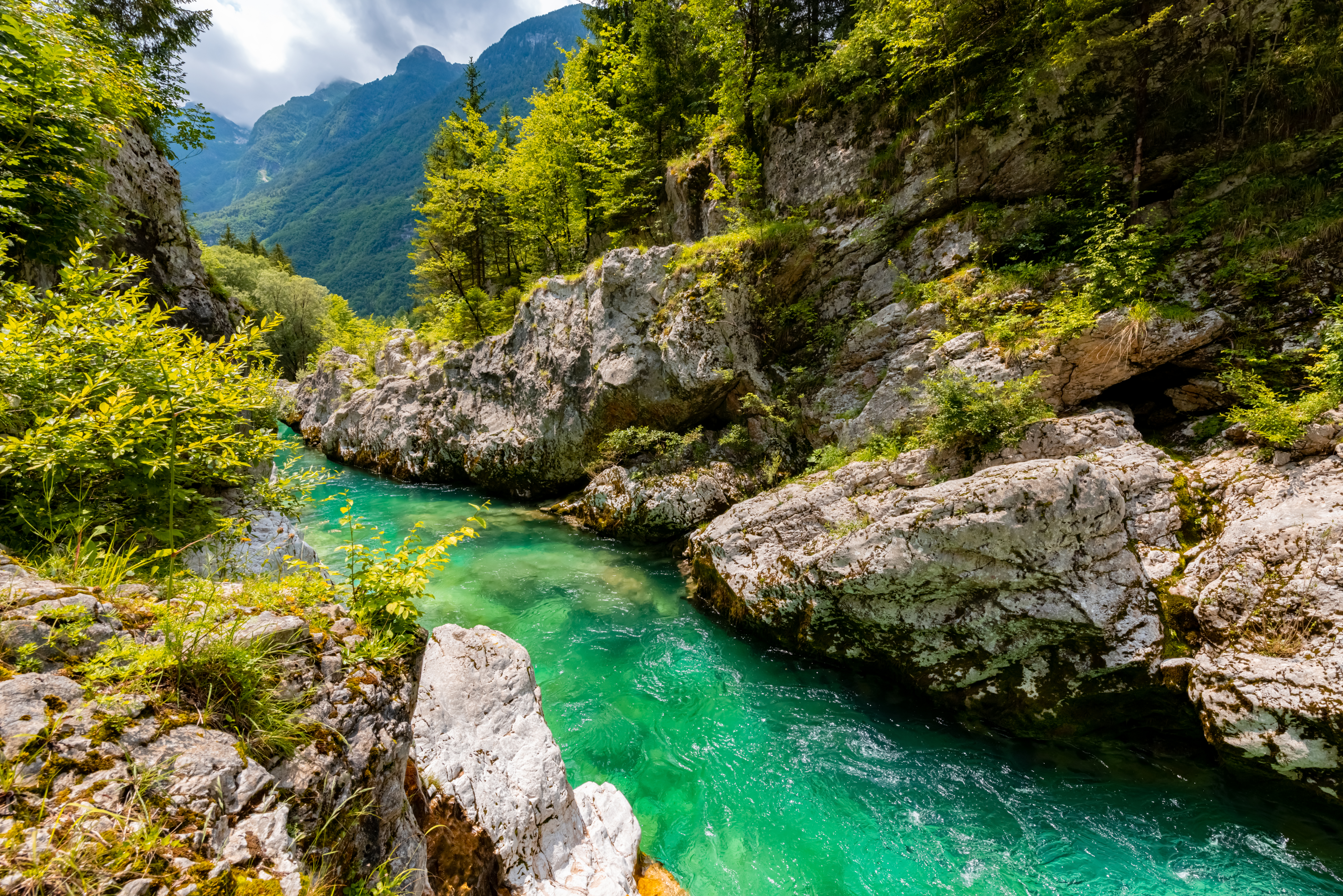 Smaragdfloden Soča i Slovenien med krystalklart turkisgrønt vand der løber gennem en malerisk canyon i Triglav Nationalpark