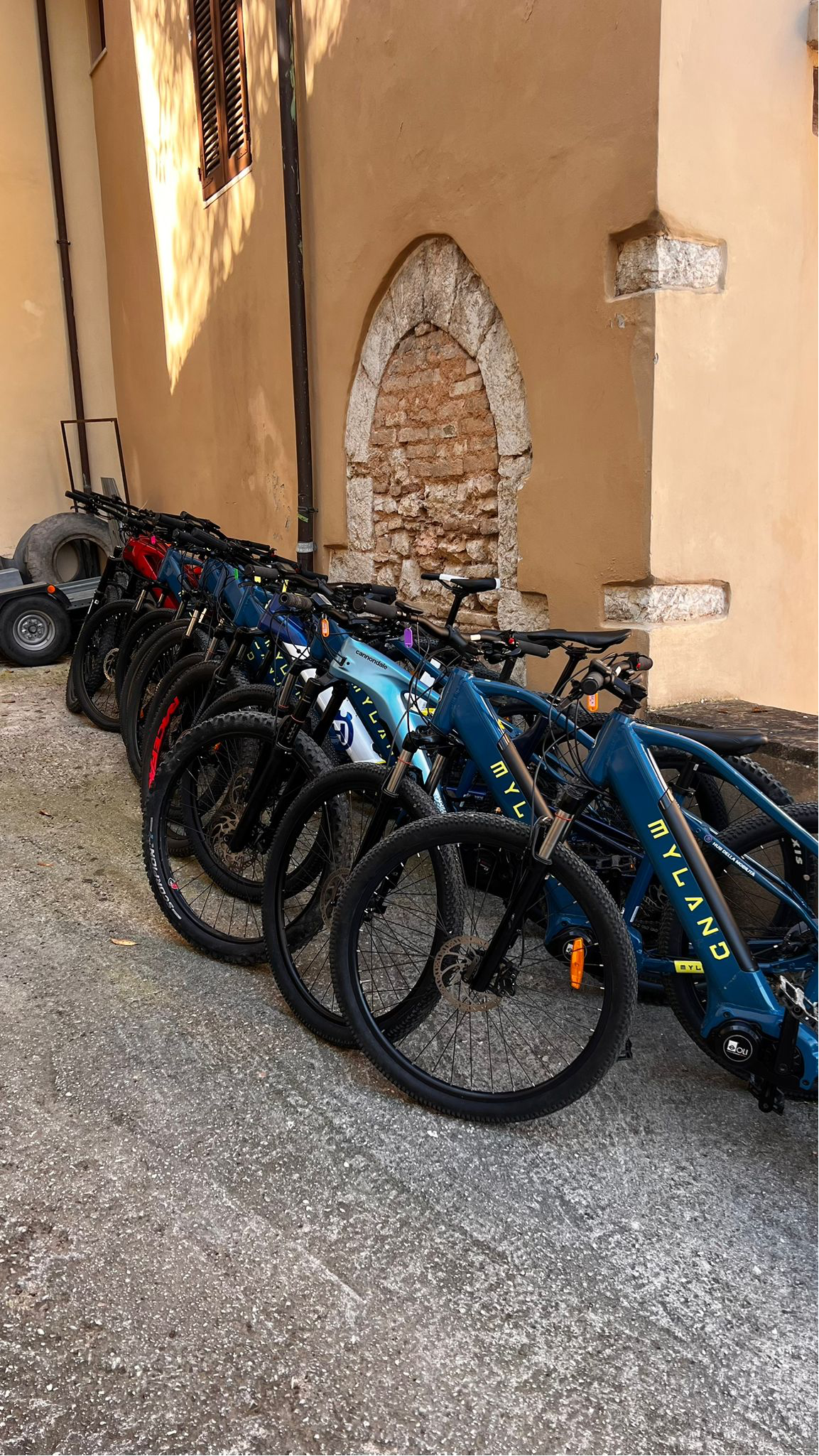 En masse mountainbikes der er lænet op mod en væg