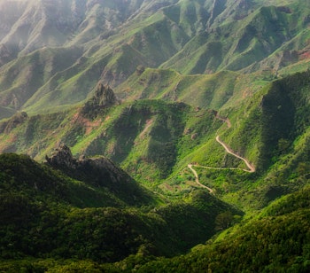 Snoet bjergvej gennem de frodige grønne bakker i Anaga naturpark på Tenerife, De Kanariske Øer, fotograferet i gyldent solnedgangslys