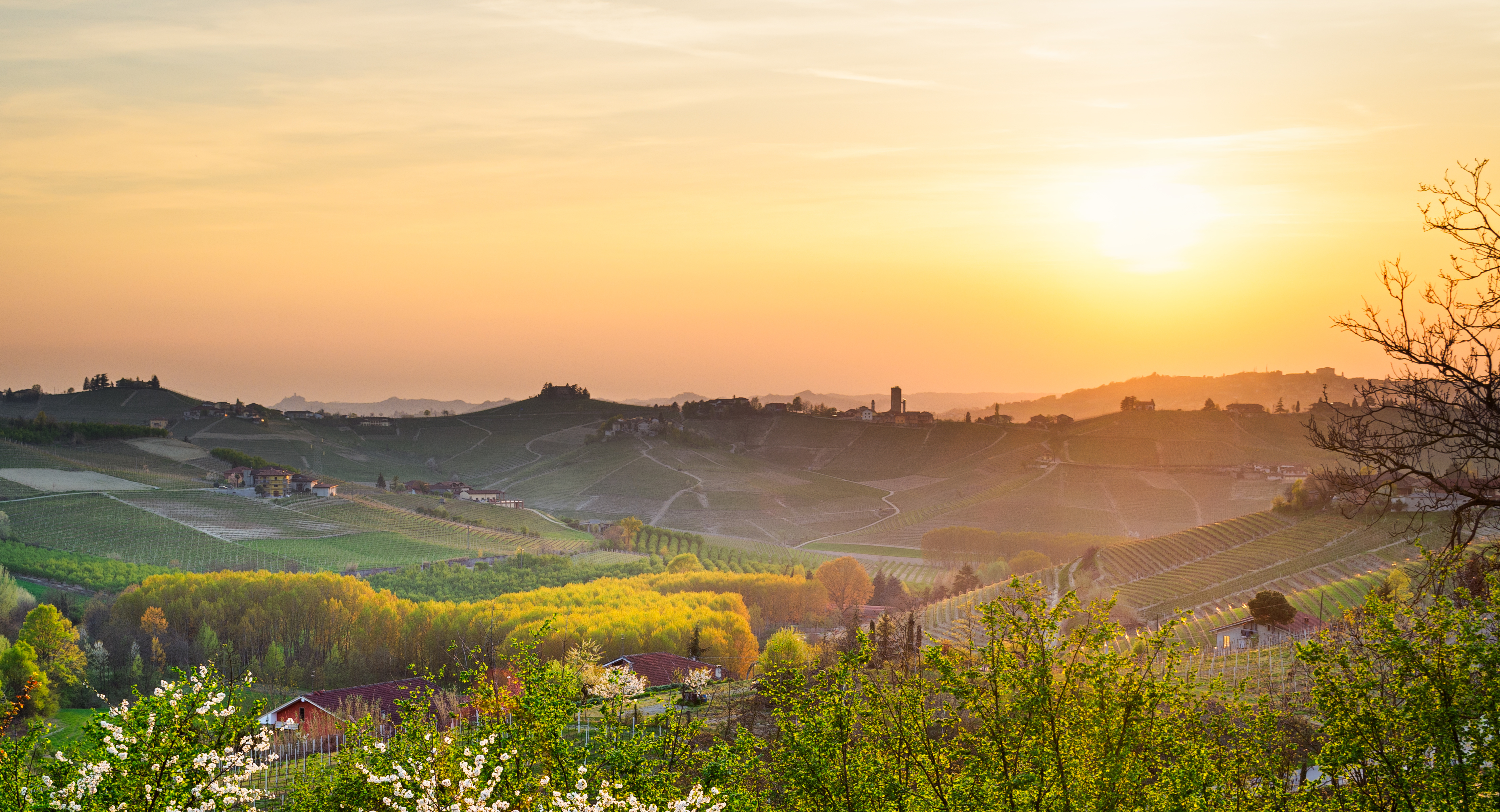 Malerisk solnedgang over grønne vinmarker i Barbaresco, Langhe-regionen i Piemonte med gyldent lys og en charmerende italiensk landsby