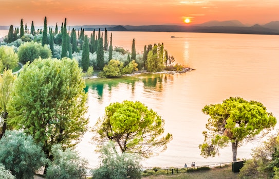 Magisk solnedgang over Gardasøen med gyldne farver, bjergkulisse og olivenlunde langs den italienske kystlinje