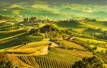 Malerisk solnedgang over Langhe-vinmarkerne i Piemonte, Norditalien, med UNESCO-beskyttede bakker der er hjemsted for verdensberømte Barolo-vine