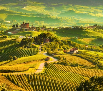 Malerisk solnedgang over Langhe-vinmarkerne i Piemonte, Norditalien, med UNESCO-beskyttede bakker der er hjemsted for verdensberømte Barolo-vine