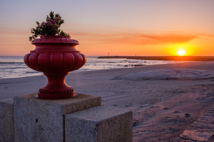 Smuk solnedgang over kystbyen Vila Praia de Ancora i Nordportugal med rødgyldent lys over havet og stranden