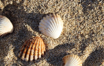 Idyllisk solrig strand med krystalklart blåt vand og fodspor i sandet ved Palma de Mallorca, perfekt til en afslappende sommerferie