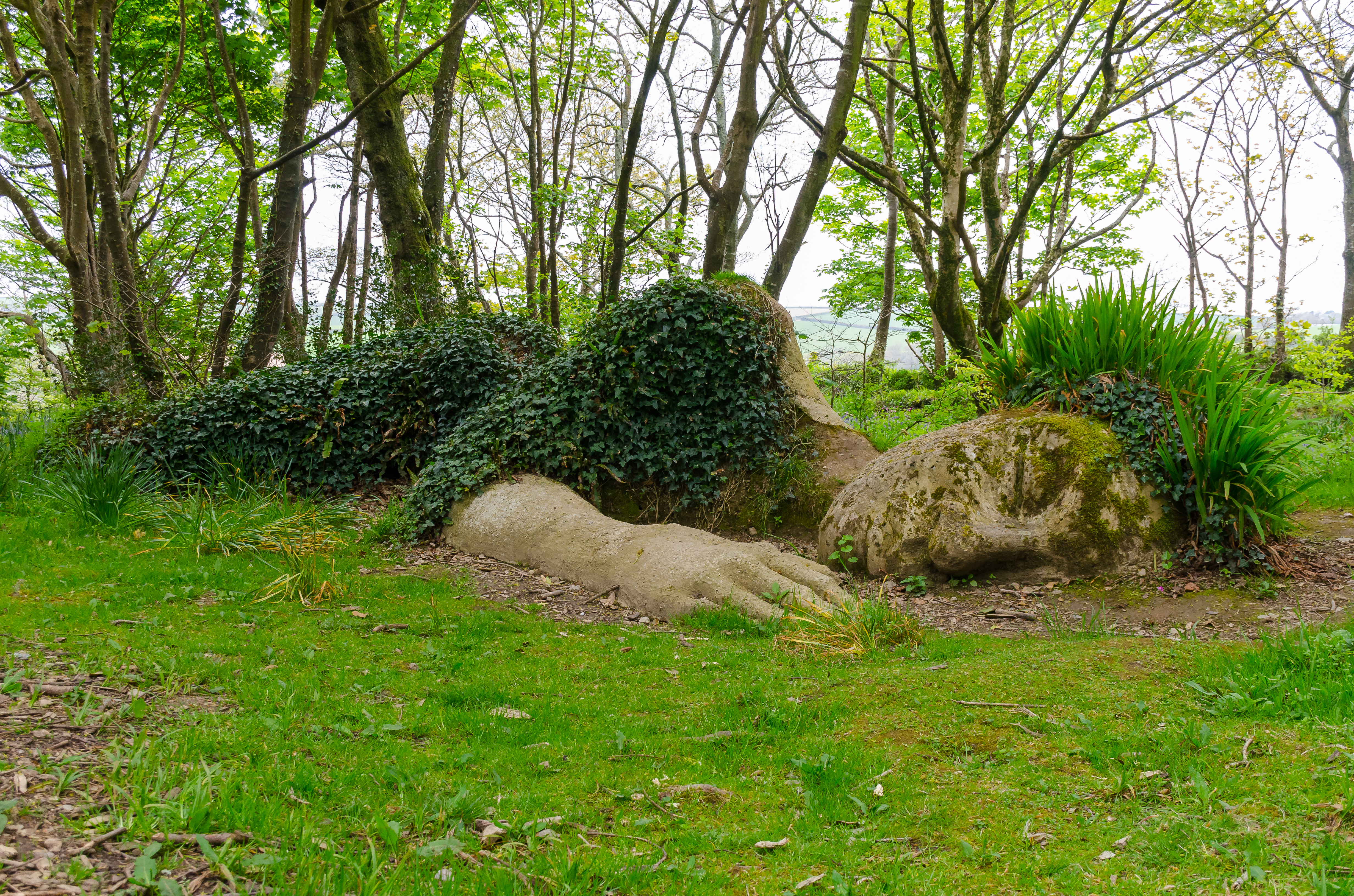 Mosbelagt skulptur af sovende kæmpe i de historiske Lost Gardens of Heligan i Cornwall, England