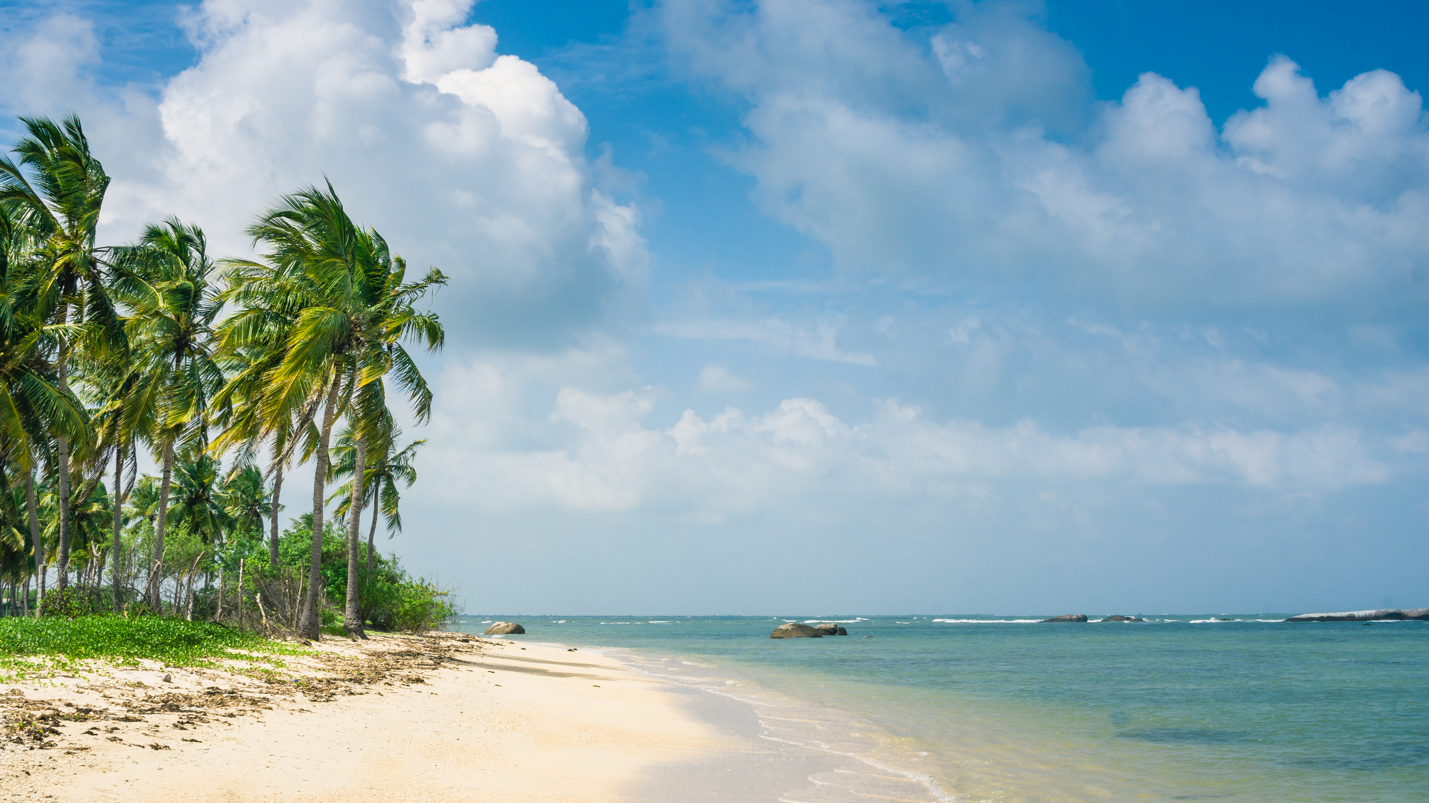 Idyllisk tropisk strand med kokospalmer og turkisblaat vand paa Sri Lanka