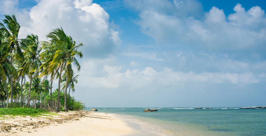Idyllisk tropisk strand med kokospalmer og turkisblaat vand paa Sri Lanka
