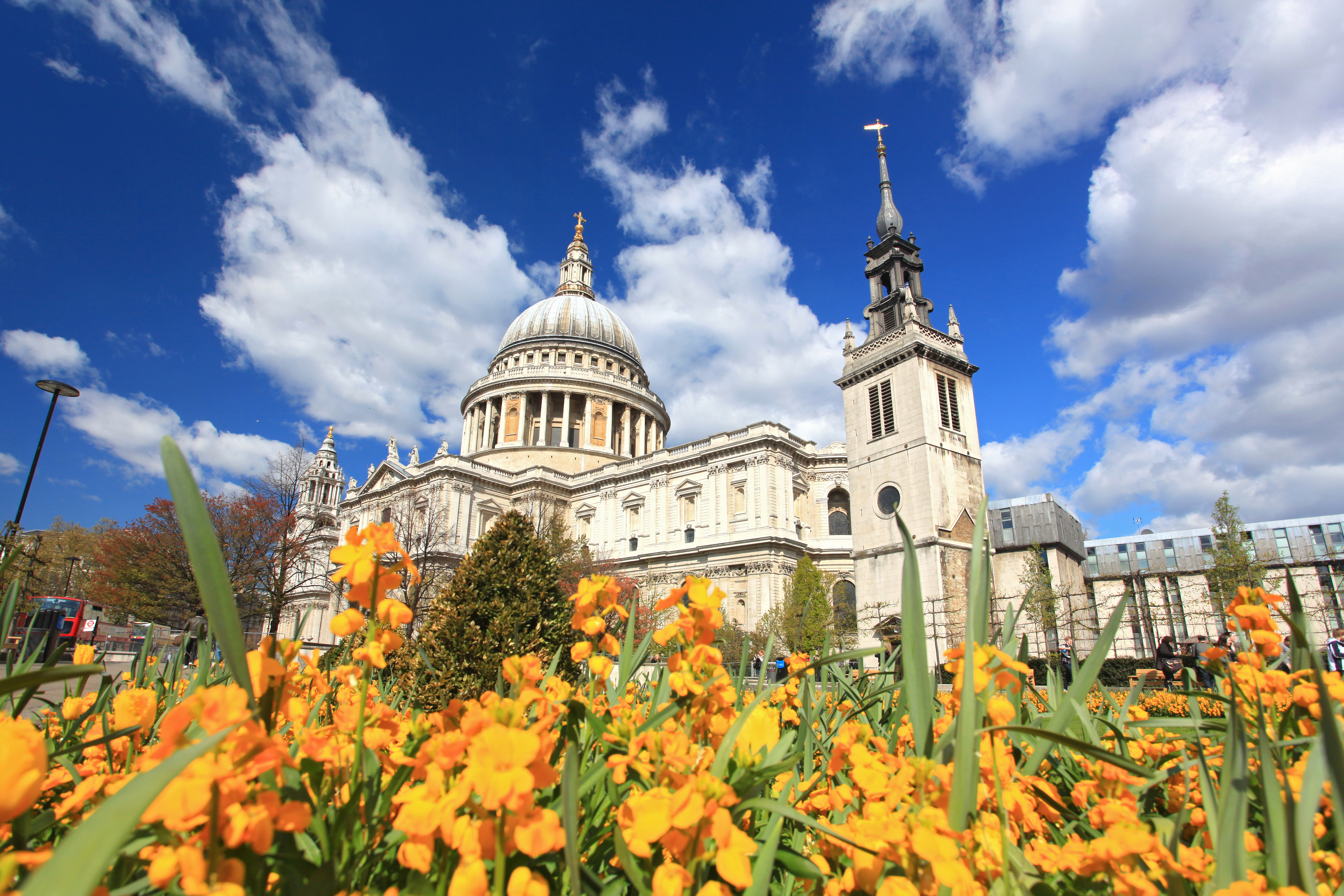 St. Pauls Katedral med gul blomsterhave i London, England under blå himmel med hvide skyer