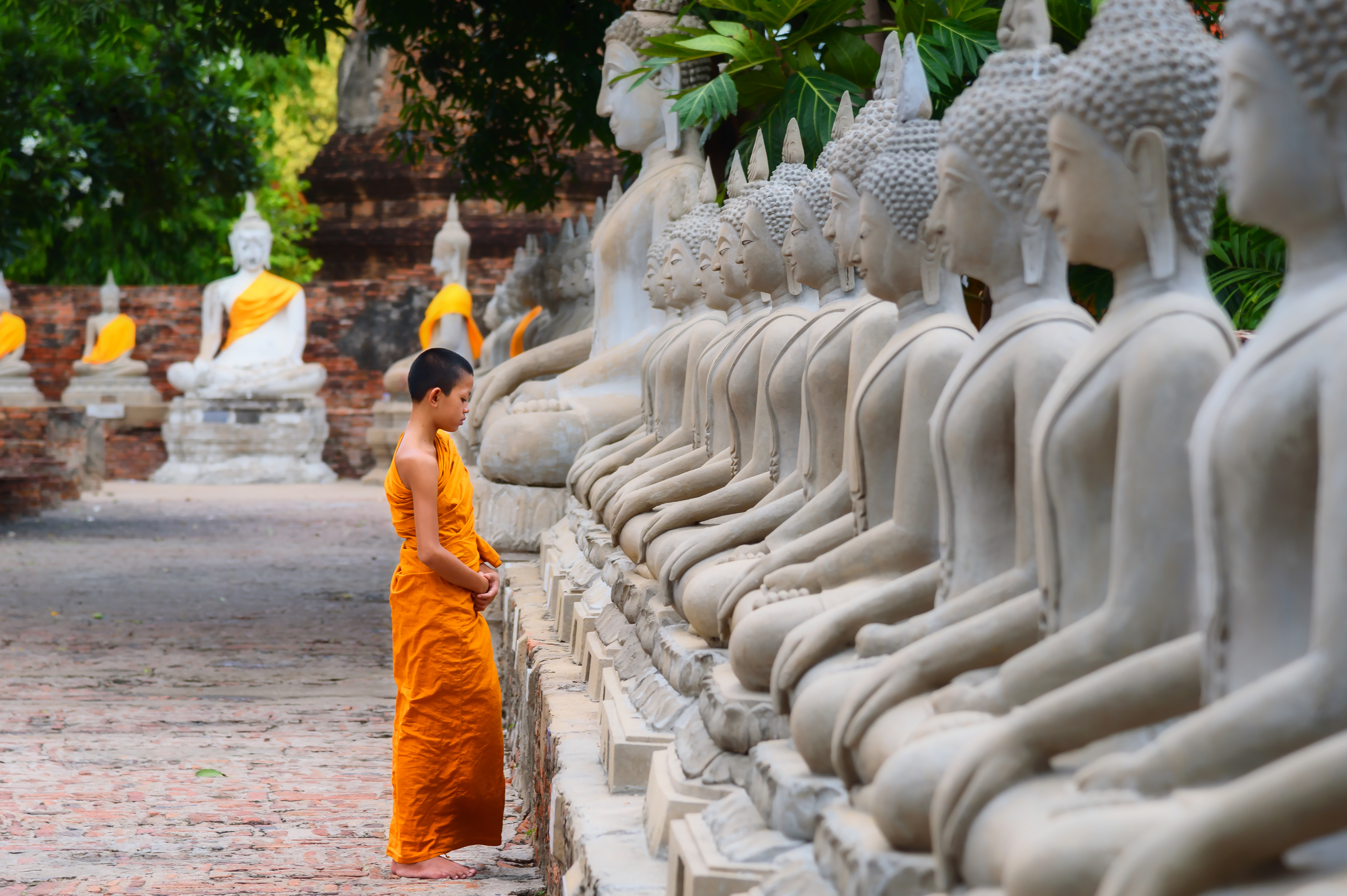 Ung stående Buddha-statue i traditionelt tempel i Thailand - symbol på buddhismens spirituelle kultur og fredfyldte ånd