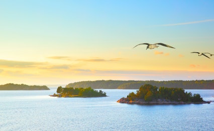 Smuk solnedgang over Stockholms skærgård med små skovklædte øer og måger der flyver over det rolige vand i Sverige