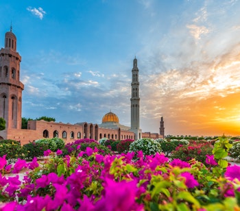 Smuk Sultan Qaboos Moské i Muscat Oman ved solnedgang med lyserøde blomster