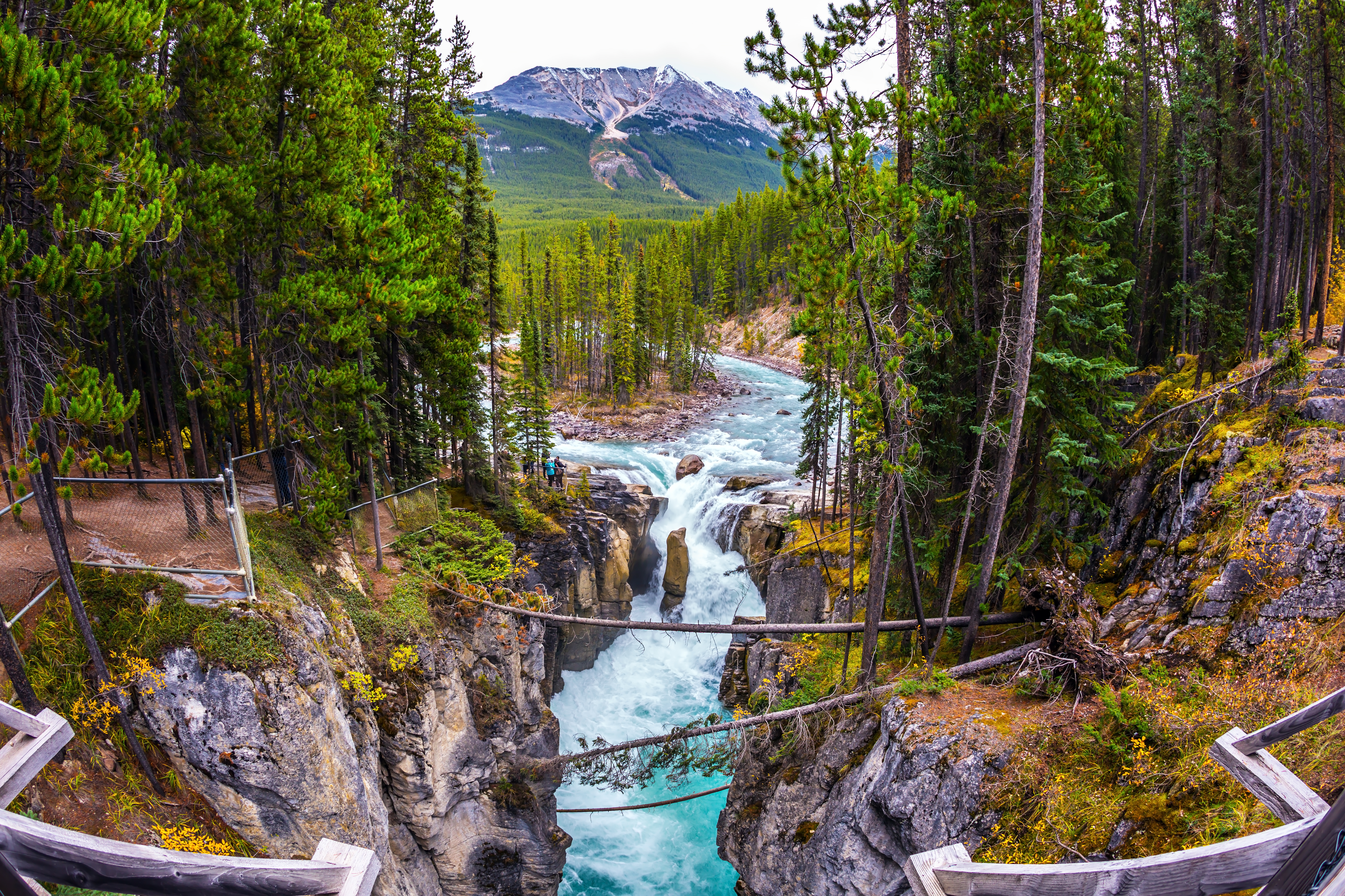 Sunwapta Falls turkisblåt vandfald i kløft med bjerglandskab i Jasper Nationalpark Canada