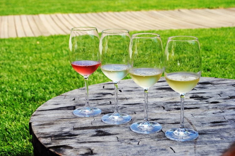 Fire elegante vinglas med rød, rosé og hvid vin opstillet til vinsmagning på et træbord med udsigt over smukke sydafrikanske vinmarker