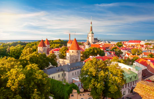 Luftfoto af Tallinns gamle bydel ved solnedgang med Sankt Olavs Kirkes spir og middelalderlige bymure og tårne omgivet af grønne træer, Estland
