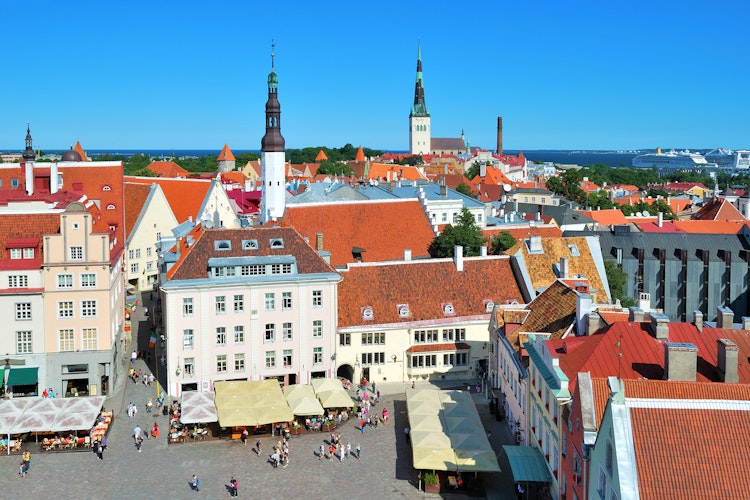 Panoramaudsigt over Rådhuspladsen i Tallinn fra rådhustårnet med historiske bygninger og røde tage under en skyfri himmel i Estlands middelalderlige bycentrum