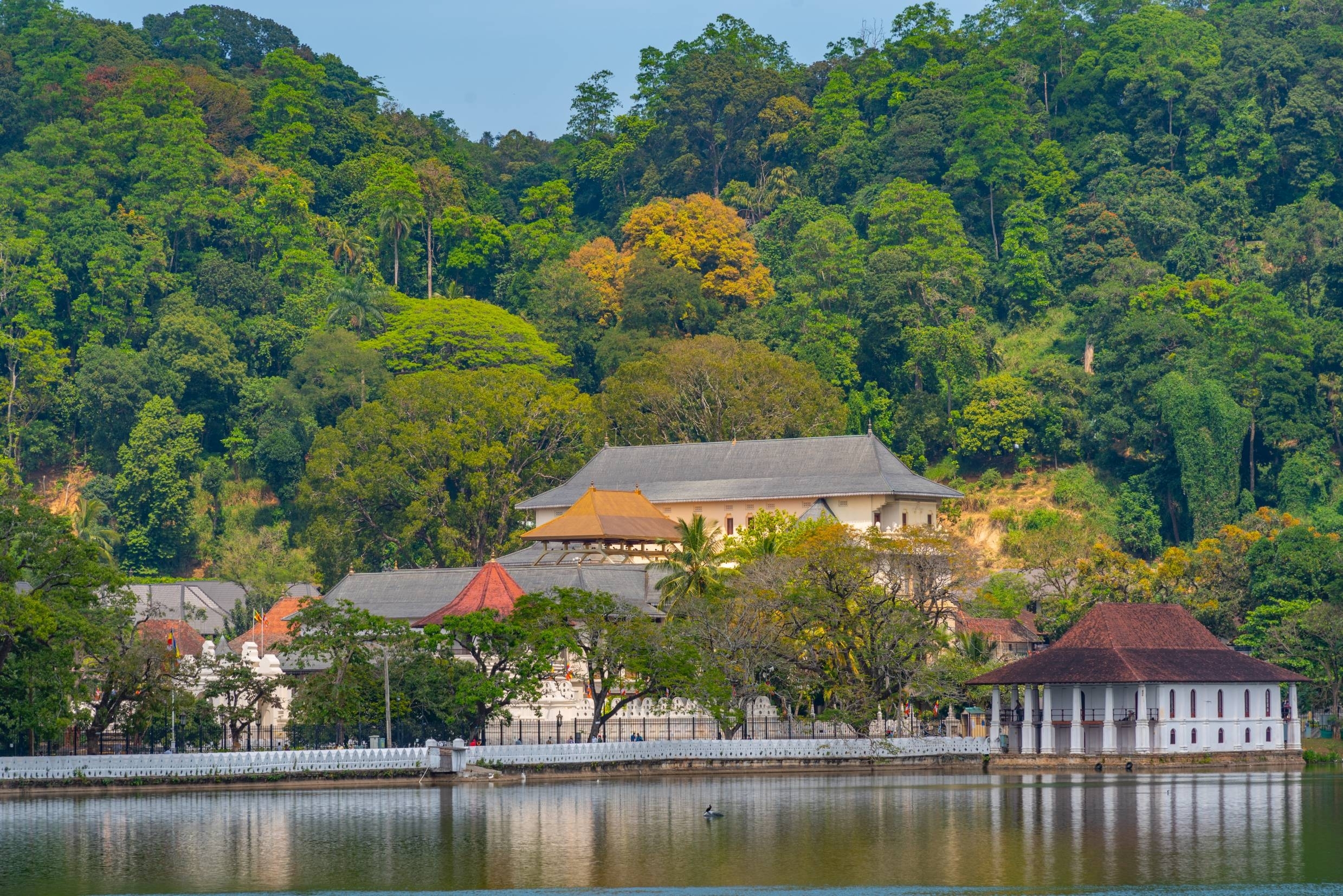 Tandens Tempel i Kandy, Sri Lanka - en smuk buddhistisk helligdom med spejling i søen, kendt for at huse Buddhas hellige tand