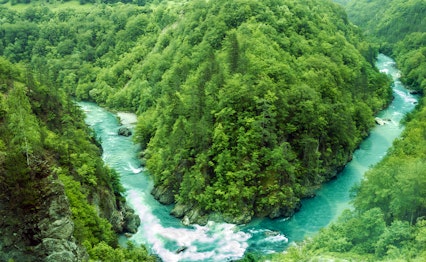 Imponerende udsigt over Tara-flodens canyon i Montenegro med turkisblåt vand der løber mellem skovklædte bjerge