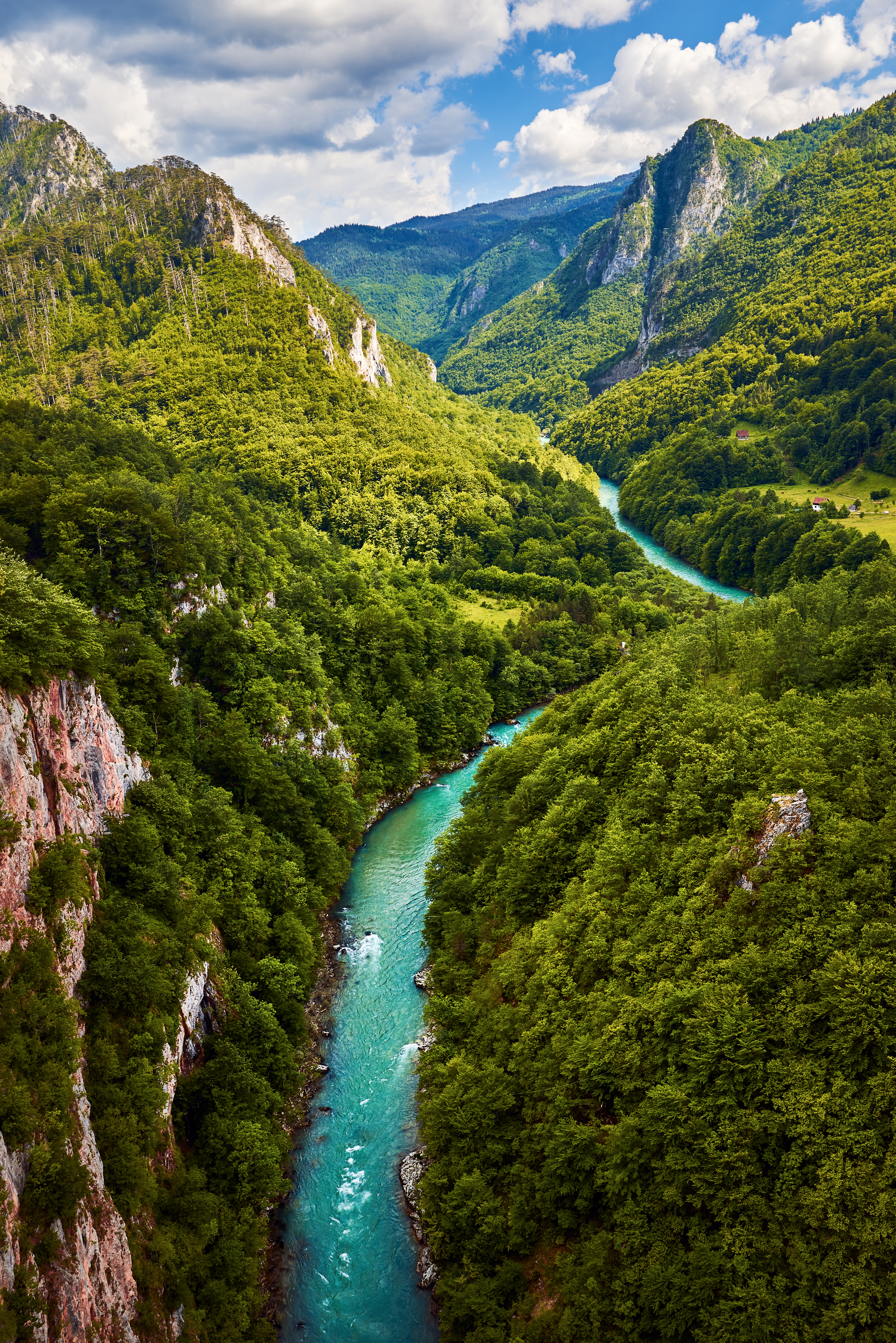 Betagende udsigt over Tara-flodkløften i Montenegro med den snoede blå flod, der skærer gennem frodige grønne skove og dramatiske bjerge - et populært rejsemål for rafting og vandring