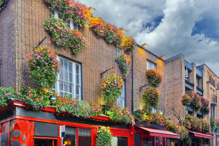 Charmerende farverige bygninger med smukke blomsterdekorationer i Temple Bar-kvarteret, Dublins historiske kulturdistrikt med traditionelle irske pubber