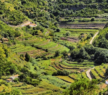 Frodige grønne terrasser i Vallehermoso dalen på La Gomera, De Kanariske Øer, perfekt til vandreferie