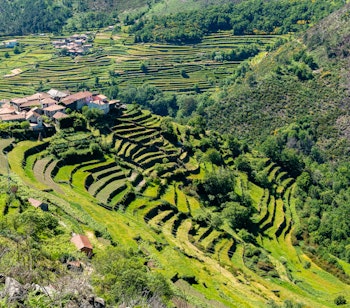 Betagende udsigt over de terrasserede marker i Sistelo, kendt som "Portugals Tibet", et unikt landskab på vandreferie i Nordportugal